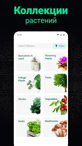 Скриншот 6 — Plantum・Распознавание растений
