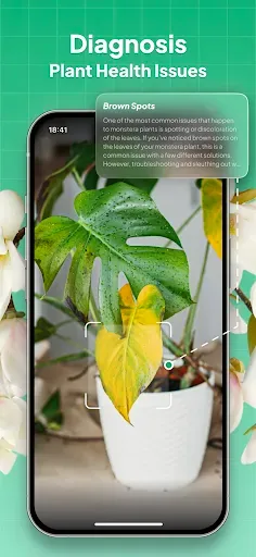 Скриншот 3 — Plant Identifier: LeafSnap