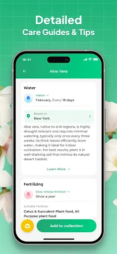 Скриншот 4 — Plant Identifier: LeafSnap