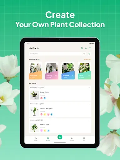 Скриншот 8 — Plant Identifier: LeafSnap