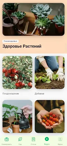 Скриншот 1 — Идентификация растений