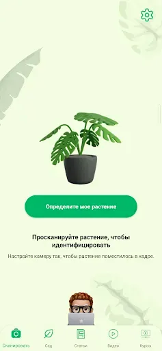 Скриншот 2 — Идентификация растений