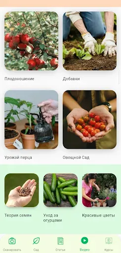 Скриншот 5 — Идентификация растений