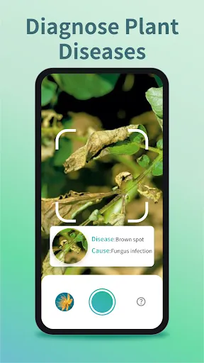 Скриншот 2 — Plant Identifier & Plant Care