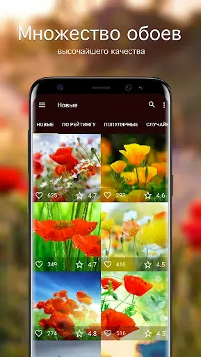 Скриншот 1 — Обои с маками | Маки от 7Fon