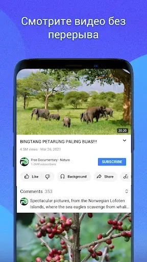 Скриншот 8 — GoTube