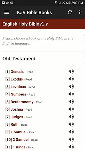 Скриншот 2 — King James Audio Bible - Pro