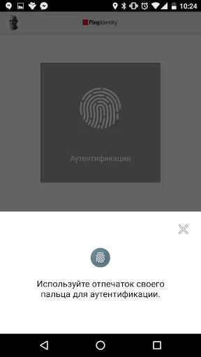 Скриншот 2 — PingID