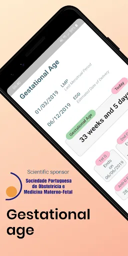 Скриншот 1 — Gestational Age