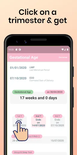 Скриншот 6 — Gestational Age