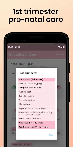Скриншот 7 — Gestational Age