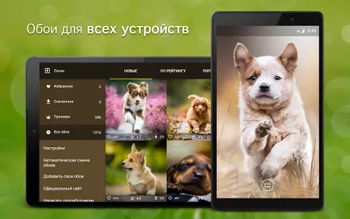 Скриншот 5 — Обои с щенками | Щенки от 7Fon
