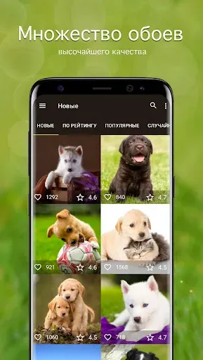 Скриншот 1 — Обои с щенками PRO