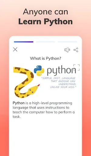 Скриншот 1 — Изучите Python Programming
