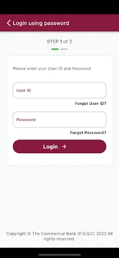 Скриншот 2 — CB Corporate Lite