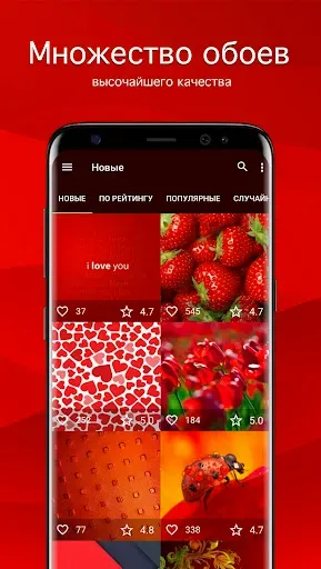 Скриншот 1 — Красные обои от 7Fon