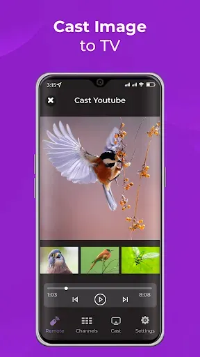 Скриншот 7 — Remote Control for RokuTV