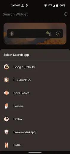 Скриншот 2 — Search Widget (Material You)