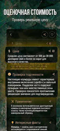 Скриншот 3 — Идентификатор камней