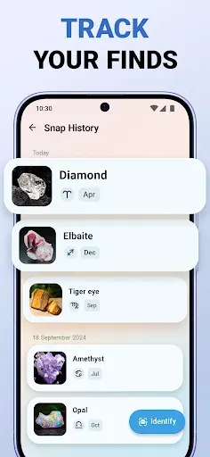 Скриншот 8 — Rock ID - Stone Identifier