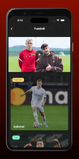 Скриншот 8 — performAll
