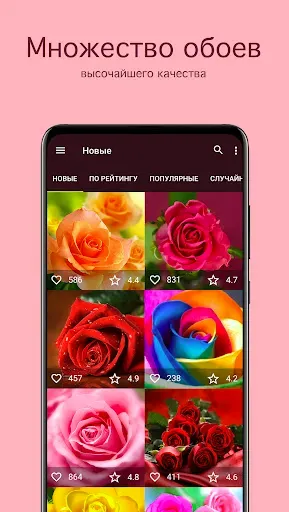 Скриншот 2 — Обои с розами PRO