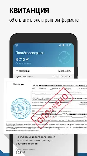 Скриншот 5 — ФНС: Оплата налогов