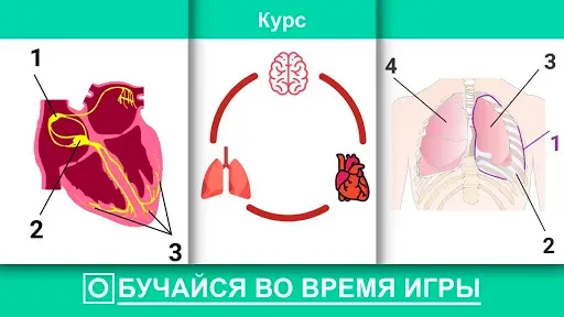 Скриншот 6 — Скорая Помощь Inc : Симулятор