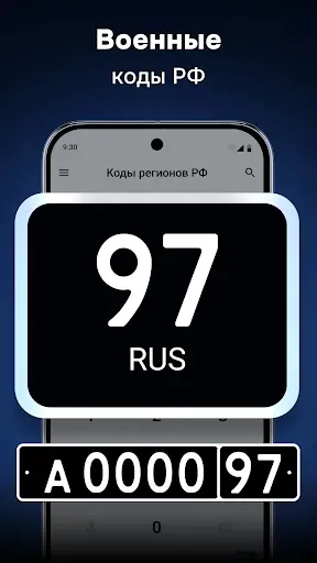 Скриншот 3 — Коды регионов России