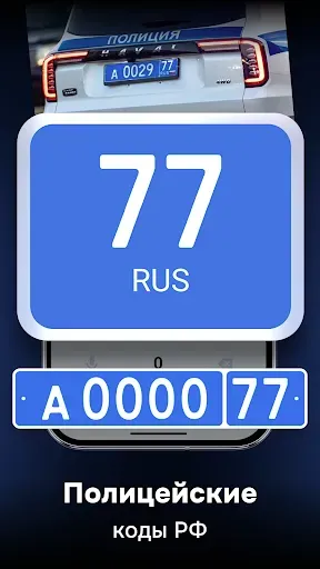 Скриншот 4 — Коды регионов России