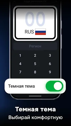 Скриншот 8 — Коды регионов России