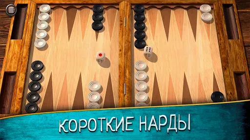 Скриншот 8 — Нарды длинные и короткие