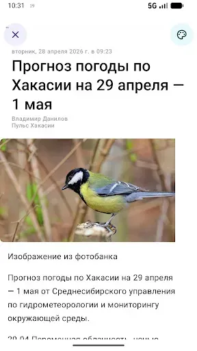 Скриншот 4 — Новости Хакасии