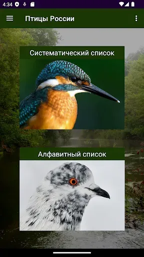 Скриншот 1 — Птицы России
