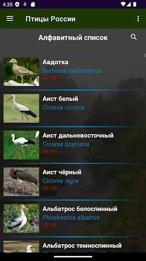 Скриншот 3 — Птицы России