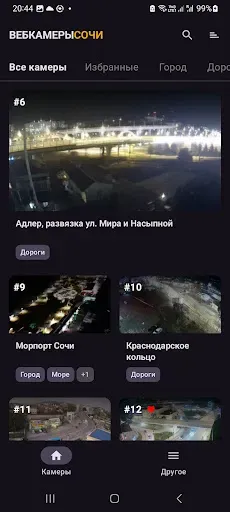 Скриншот 2 — SochiCamera Бизнес-Связь
