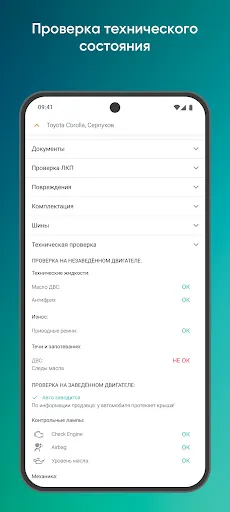 Скриншот 5 — Carlink
