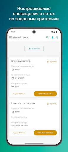 Скриншот 7 — Carlink