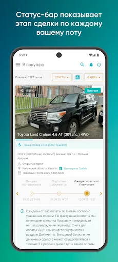 Скриншот 8 — Carlink