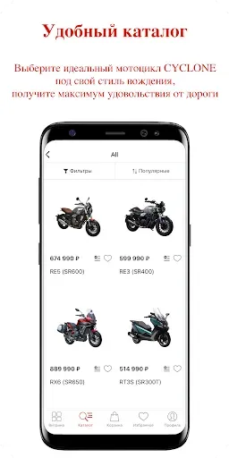 Скриншот 2 — Cyclone Store