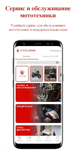 Скриншот 3 — Cyclone Store