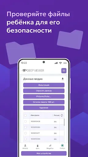 Скриншот 8 — Семейный контроль DeepViewer