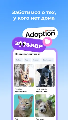 Скриншот 6 — Зоозавр: зоомагазин, ветаптека