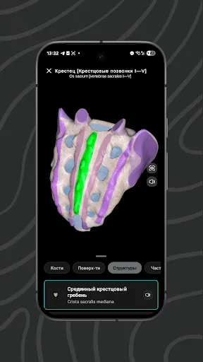 Скриншот 8 — Easy Anatomy 3D