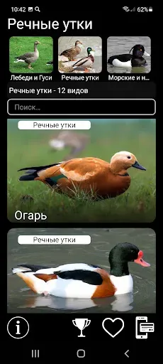 Скриншот 2 — Манок на птиц: песни и позывки