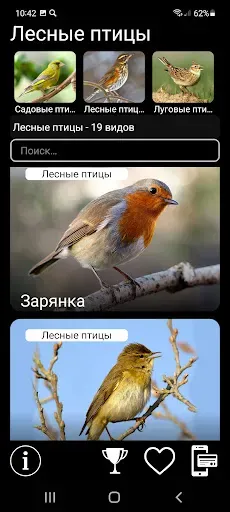 Скриншот 3 — Манок на птиц: песни и позывки