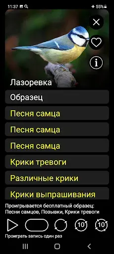 Скриншот 4 — Манок на птиц: песни и позывки