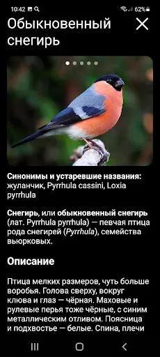 Скриншот 5 — Манок на птиц: песни и позывки