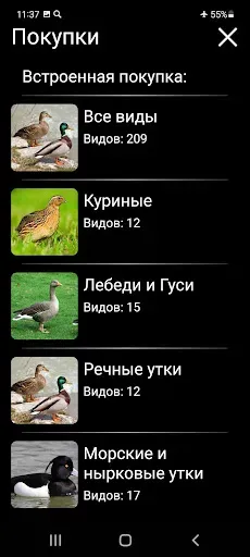 Скриншот 8 — Манок на птиц: песни и позывки