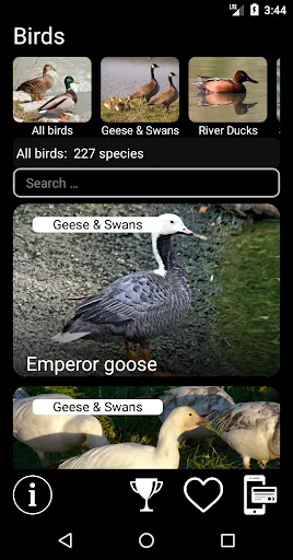 Скриншот 1 — Birds of North America: Decoys